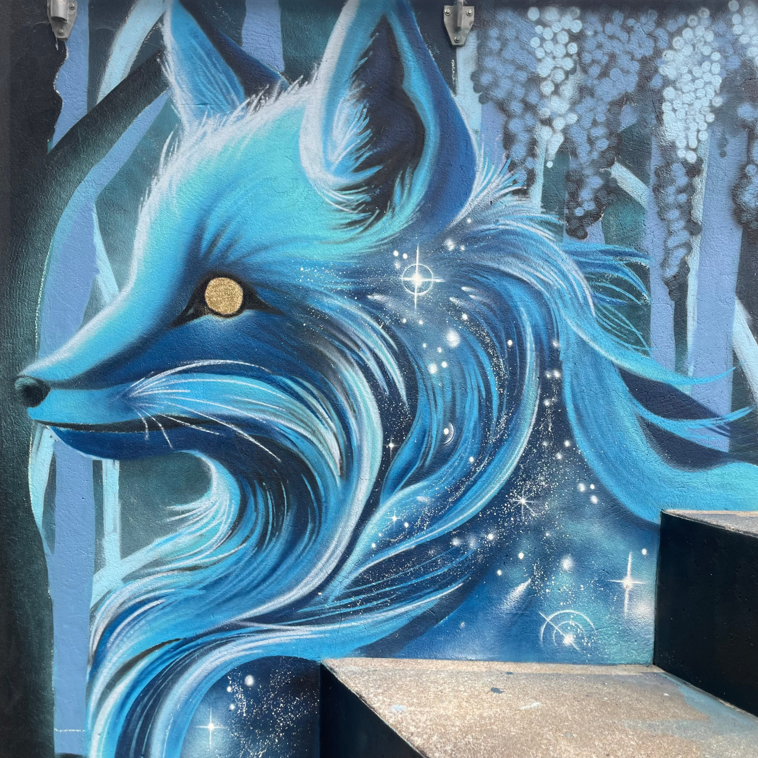 Image complémentaire